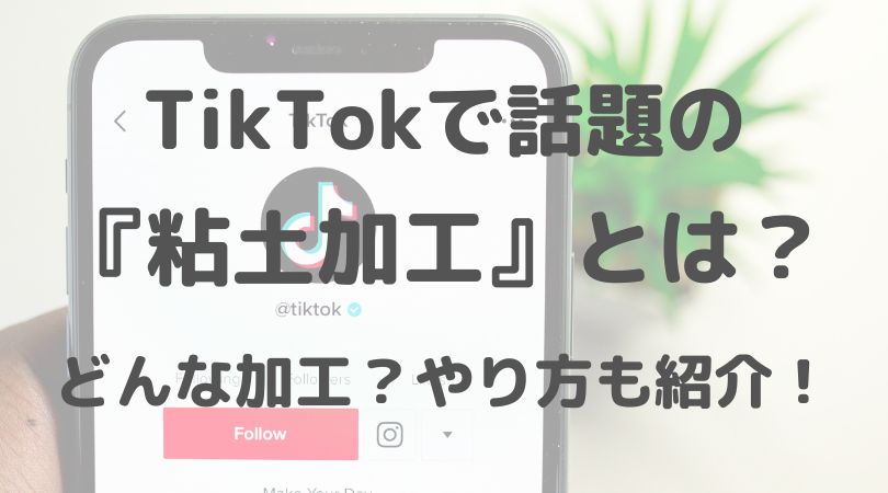 Tiktokの 粘土加工 のアプリはmeitu 意味 やり方も紹介 Connect You And Me